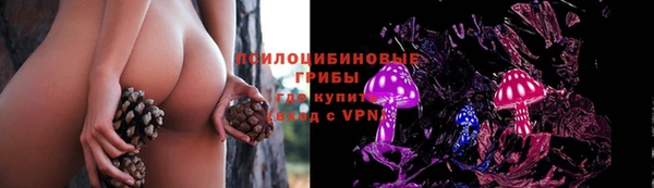 МДПВ Зерноград